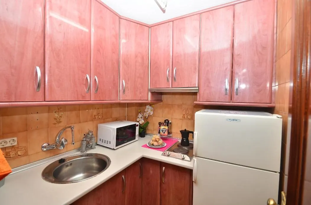 Apartamento Pleno Centro De Granada Apartment Spain